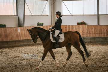 Vierkampf Sonntag Vierkampf Sonntag