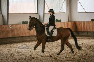 Vierkampf Sonntag Vierkampf Sonntag