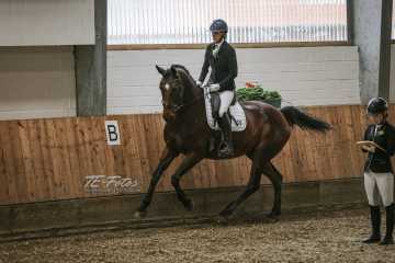 Vierkampf Sonntag Vierkampf Sonntag