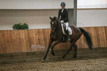 Vierkampf Sonntag Vierkampf Sonntag