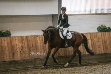 Vierkampf Sonntag Vierkampf Sonntag