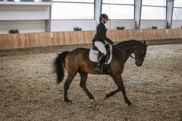 Vierkampf Sonntag Vierkampf Sonntag