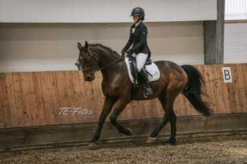 Vierkampf Sonntag Vierkampf Sonntag