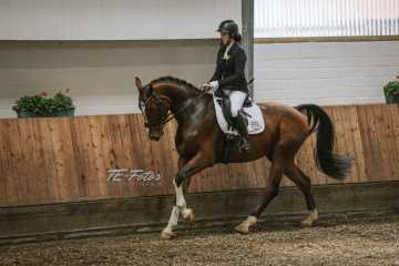 Vierkampf Sonntag Vierkampf Sonntag