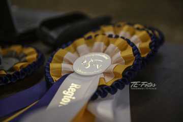 Vierkampf Sonntag Vierkampf Sonntag