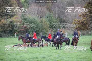 2023-10-22_11-43-02_00166