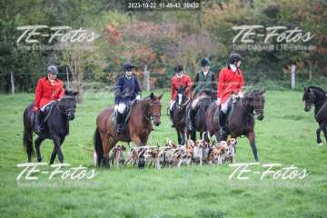 2023-10-22_11-46-43_00432