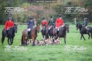 2023-10-22_11-46-43_00435