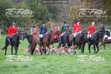 2023-10-22_11-47-57_00453