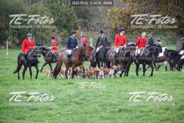 2023-10-22_11-47-57_00456