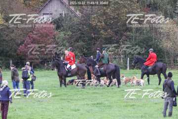 2023-10-22_11-49-18_00460