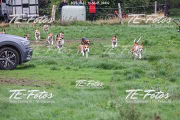 2023-10-22_11-50-45_00492