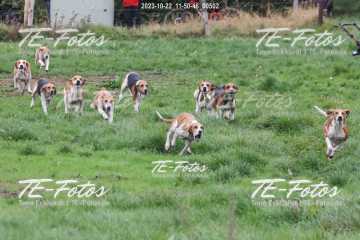 2023-10-22_11-50-46_00502