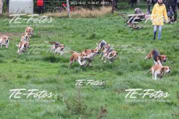 2023-10-22_11-50-47_00511