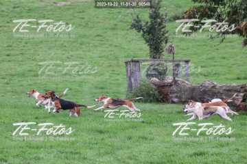 2023-10-22_11-51-30_00548