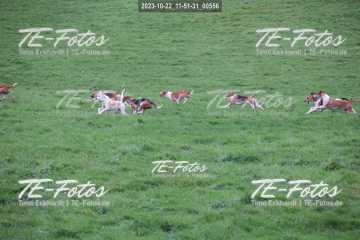 2023-10-22_11-51-31_00556