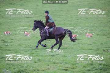 2023-10-22_11-51-36_00577