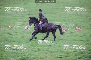 2023-10-22_11-51-36_00578 2023-10-22_11-51-36_00578