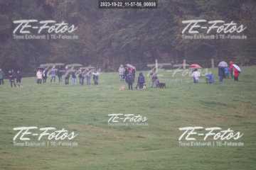 2023-10-22_11-57-56_00808 2023-10-22_11-57-56_00808