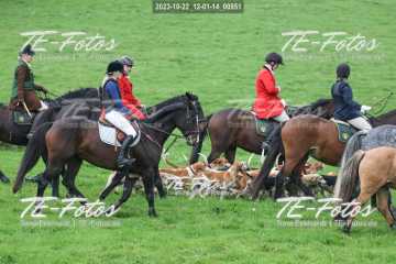 2023-10-22_12-01-14_00951 2023-10-22_12-01-14_00951