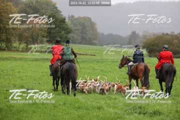 2023-10-22_12-03-00_00968 2023-10-22_12-03-00_00968