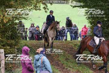 2023-10-22_12-03-19_01019 2023-10-22_12-03-19_01019