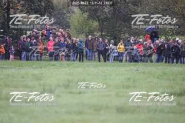 2023-10-22_12-11-16_01037 2023-10-22_12-11-16_01037