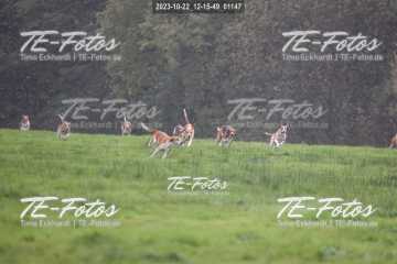 2023-10-22_12-15-49_01147 2023-10-22_12-15-49_01147