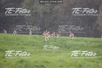 2023-10-22_12-15-49_01150 2023-10-22_12-15-49_01150