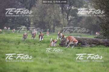 2023-10-22_12-16-00_01199