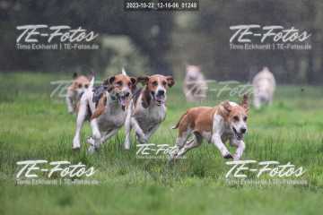 2023-10-22_12-16-06_01248