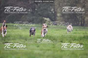 2023-10-22_12-16-08_01261