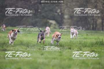 2023-10-22_12-16-08_01266