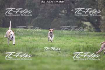 2023-10-22_12-16-11_01287