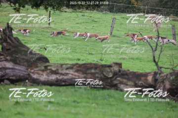 2023-10-22_12-27-29_01839