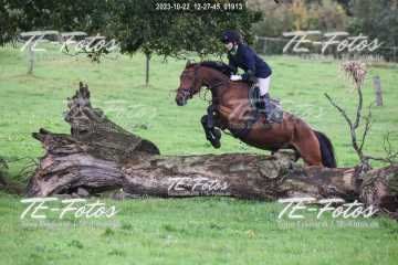 2023-10-22_12-27-45_01913 2023-10-22_12-27-45_01913