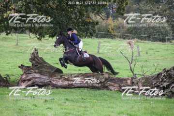 2023-10-22_12-27-56_02019 2023-10-22_12-27-56_02019