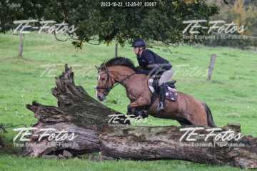 2023-10-22_12-28-07_02067 2023-10-22_12-28-07_02067