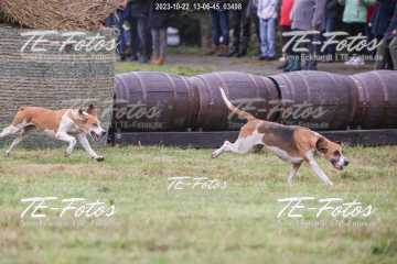 2023-10-22_13-06-45_03498