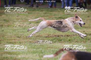 2023-10-22_13-06-51_03532