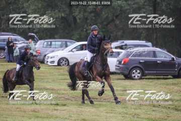 2023-10-22_13-08-03_03856