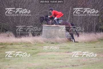 2023-10-22_13-22-43_04473 2023-10-22_13-22-43_04473