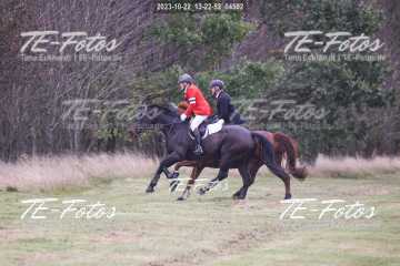 2023-10-22_13-22-52_04502 2023-10-22_13-22-52_04502