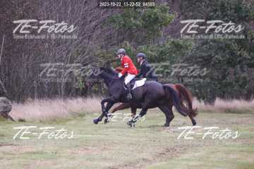 2023-10-22_13-22-52_04503 2023-10-22_13-22-52_04503