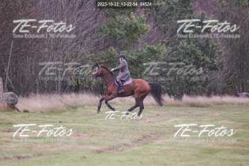 2023-10-22_13-22-54_04524 2023-10-22_13-22-54_04524