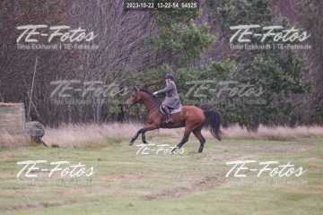 2023-10-22_13-22-54_04525 2023-10-22_13-22-54_04525