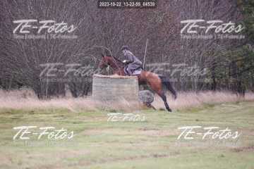 2023-10-22_13-22-55_04539 2023-10-22_13-22-55_04539