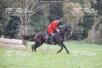 2023-10-22_13-32-30_04756 2023-10-22_13-32-30_04756