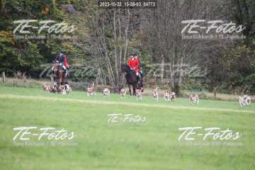 2023-10-22_13-38-03_04772 2023-10-22_13-38-03_04772