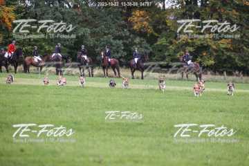 2023-10-22_13-38-08_04787 2023-10-22_13-38-08_04787